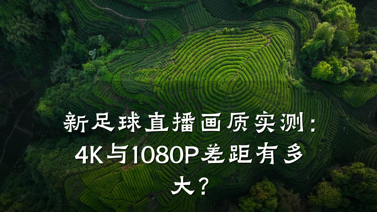 新足球直播画质实测:4K与1080P差距有多大?