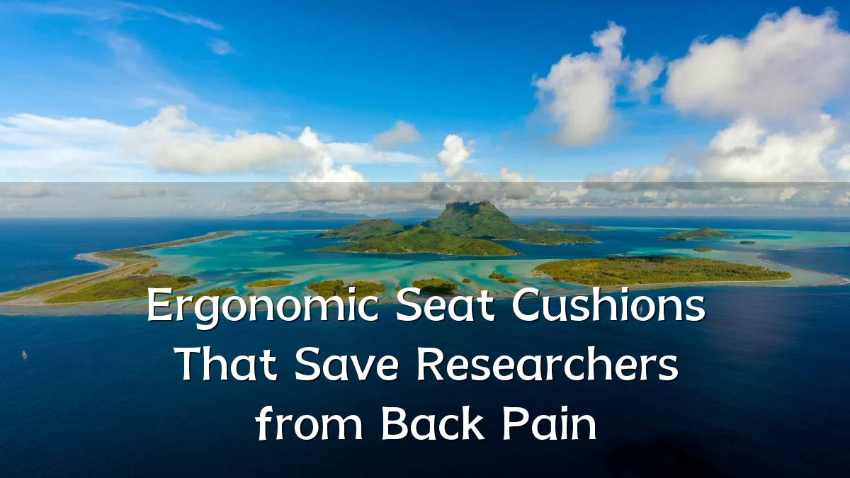 Ergonomic Seat Cushions That Save Researchers from Back Pain