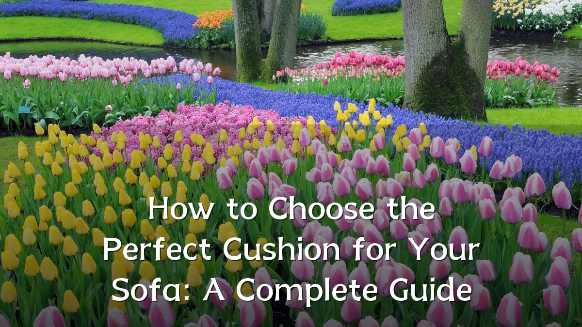 How to Choose the Perfect Cushion for Your Sofa: A Complete Guide
