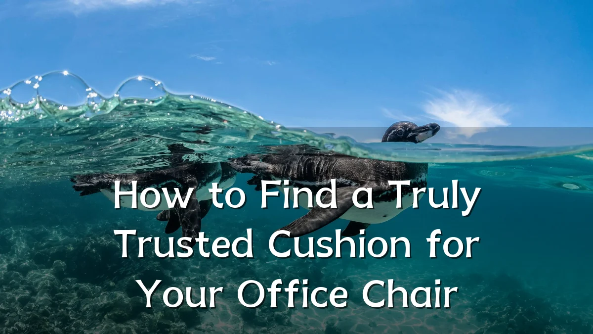 How to Find a Truly Trusted Cushion for Your Office Chair