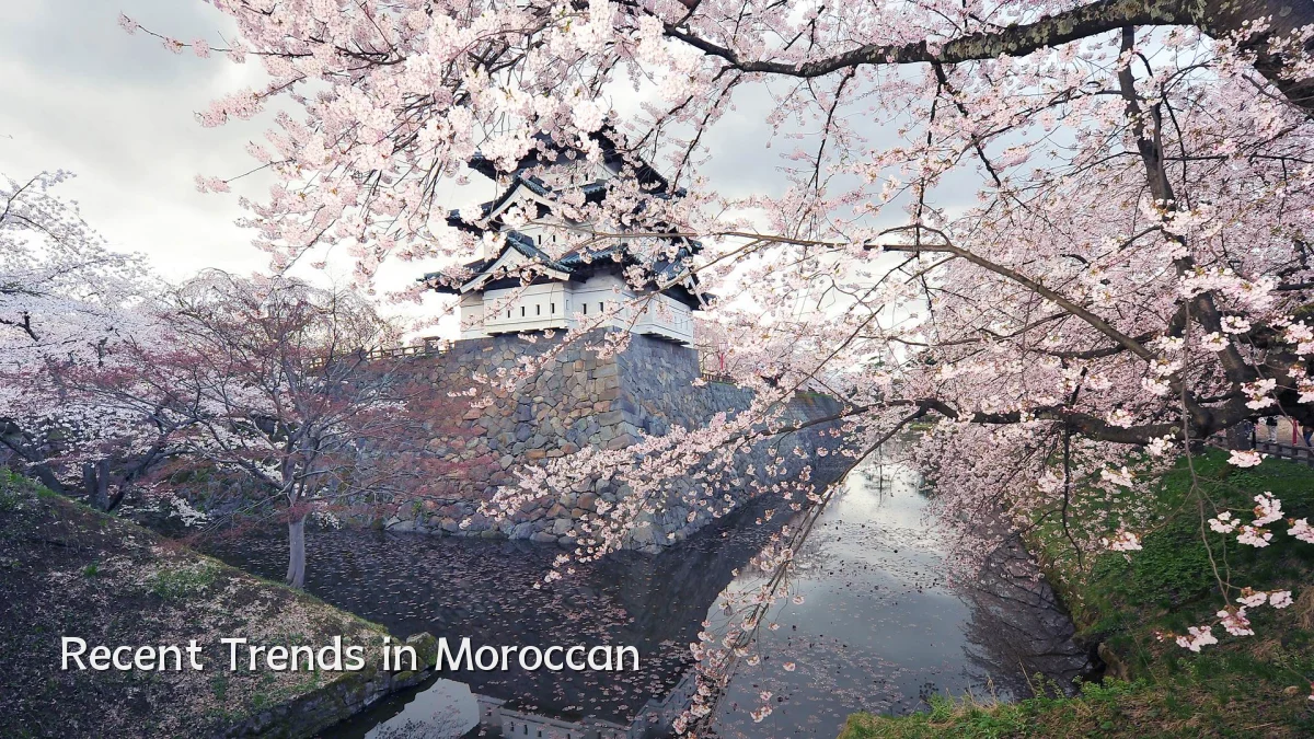Recent Trends in Moroccan