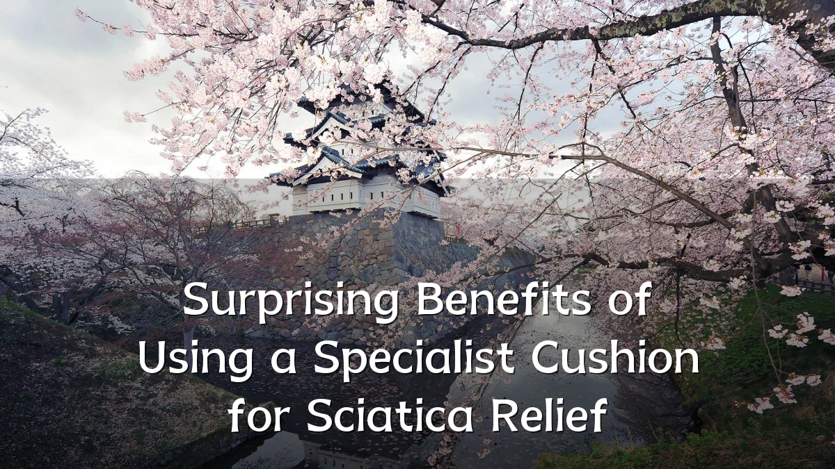Surprising Benefits of Using a Specialist Cushion for Sciatica Relief