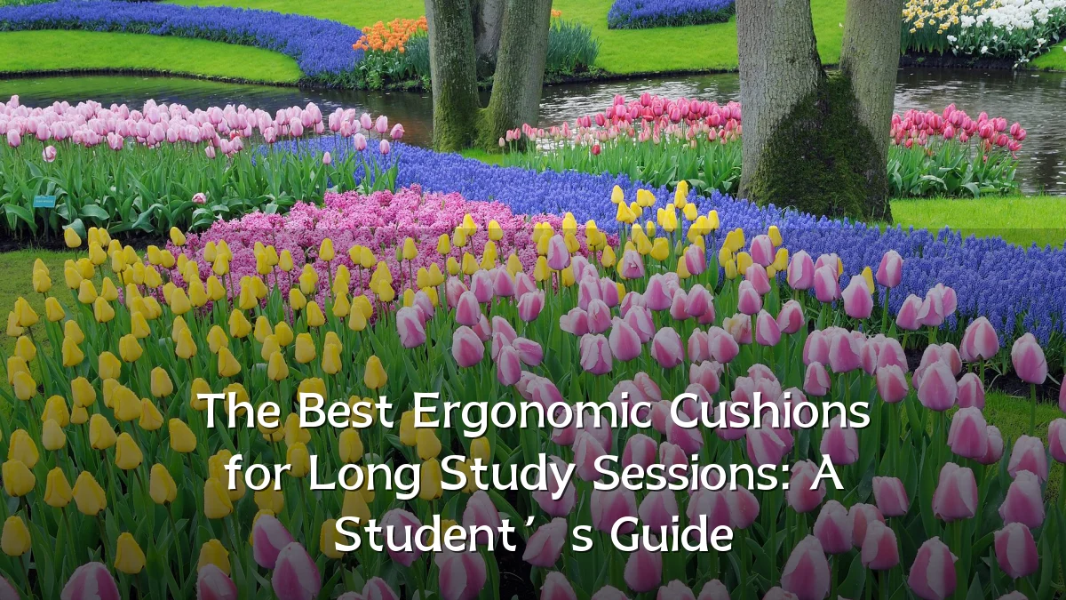 The Best Ergonomic Cushions for Long Study Sessions: A Student’s Guide