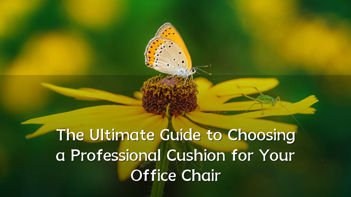 The Ultimate Guide to Choosing a Professional Cushion for Your Office Chair