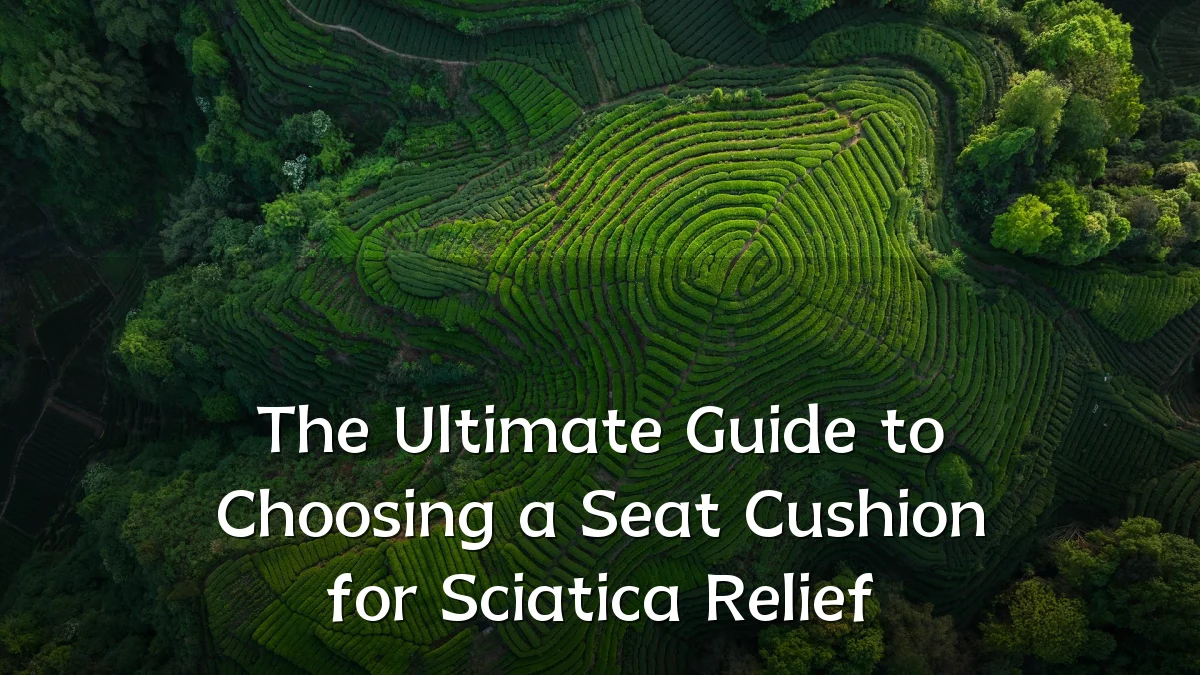 The Ultimate Guide to Choosing a Seat Cushion for Sciatica Relief