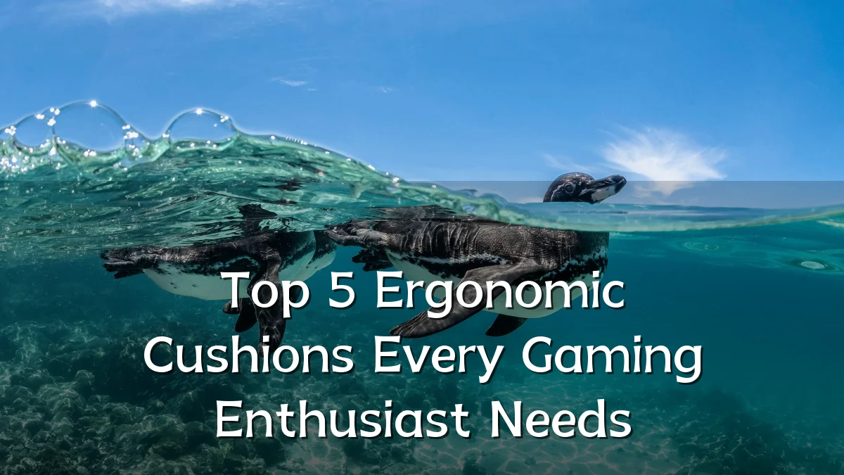 Top 5 Ergonomic Cushions Every Gaming Enthusiast Needs