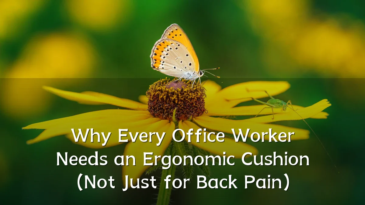 Why Every Office Worker Needs an Ergonomic Cushion (Not Just for Back Pain)