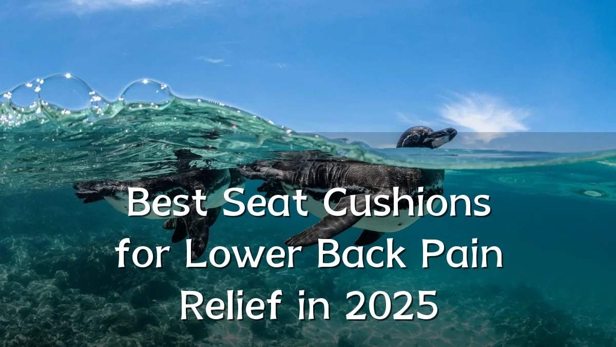 Best Seat Cushions for Lower Back Pain Relief in 2025
