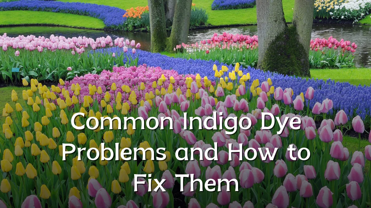 Common Indigo Dye Problems and How to Fix Them