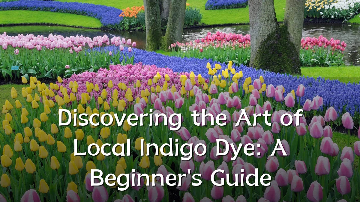Discovering the Art of Local Indigo Dye: A Beginner's Guide