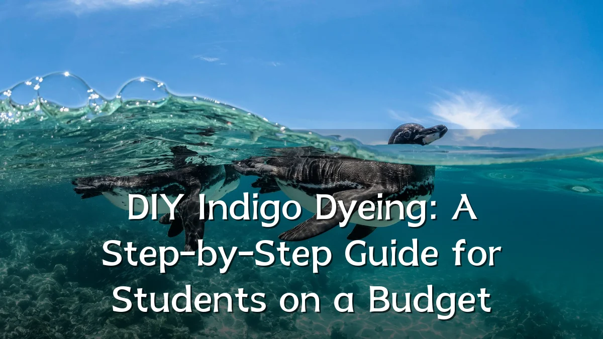 DIY Indigo Dyeing: A Step-by-Step Guide for Students on a Budget