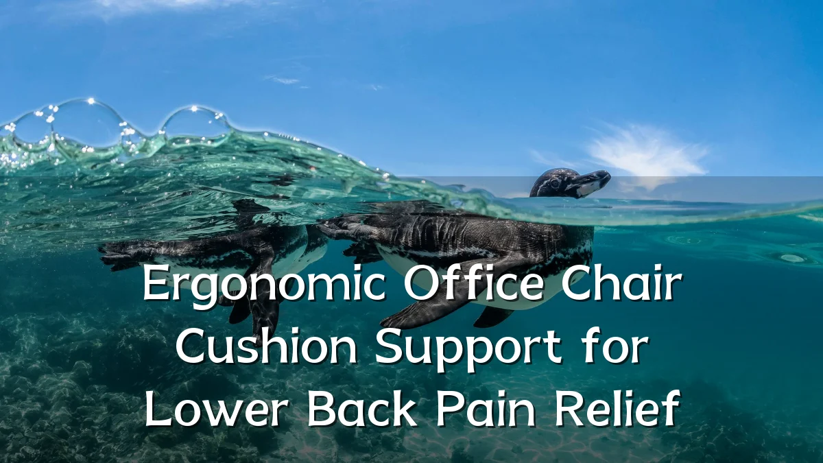 Ergonomic Office Chair Cushion Support for Lower Back Pain Relief