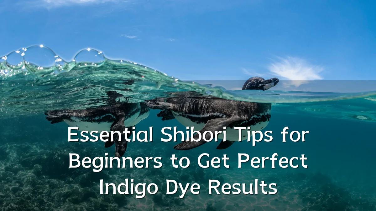 Essential Shibori Tips for Beginners to Get Perfect Indigo Dye Results