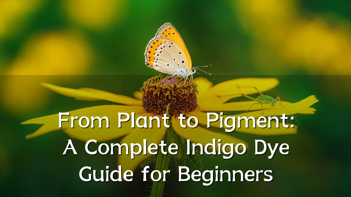 From Plant to Pigment: A Complete Indigo Dye Guide for Beginners