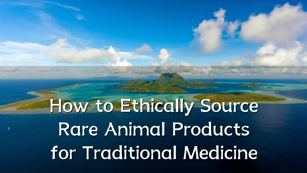 How to Ethically Source Rare Animal Products for Traditional Medicine