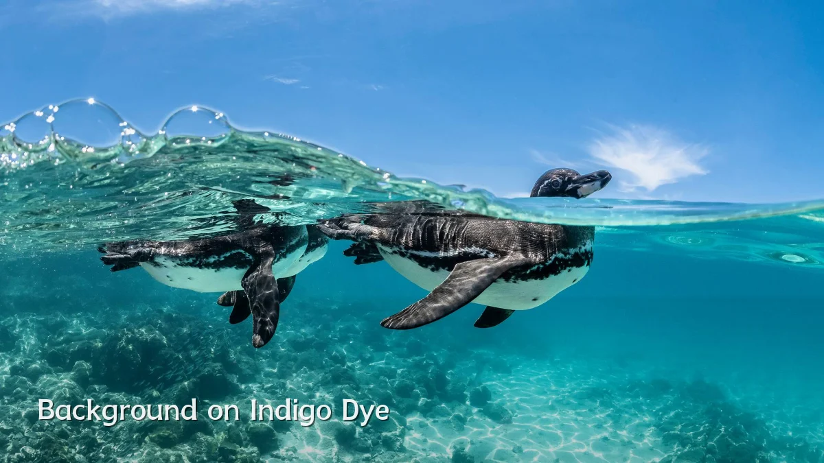 Background on Indigo Dye