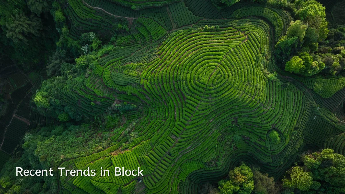 Recent Trends in Block