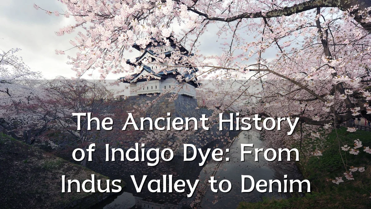 The Ancient History of Indigo Dye: From Indus Valley to Denim