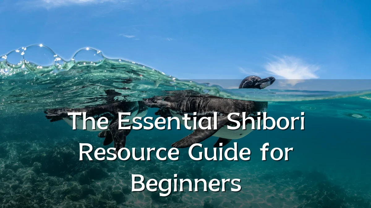 The Essential Shibori Resource Guide for Beginners
