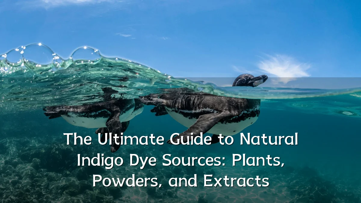 The Ultimate Guide to Natural Indigo Dye Sources: Plants, Powders, and Extracts