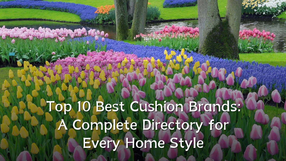 Top 10 Best Cushion Brands: A Complete Directory for Every Home Style