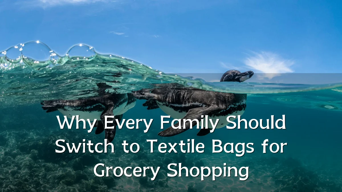 Why Every Family Should Switch to Textile Bags for Grocery Shopping
