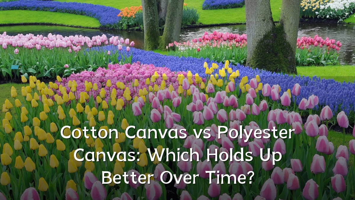 Cotton Canvas vs Polyester Canvas: Which Holds Up Better Over Time?