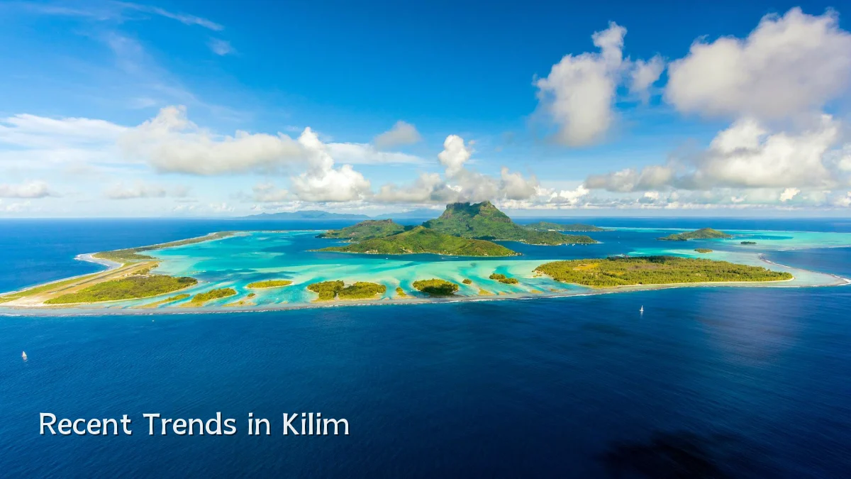 Recent Trends in Kilim