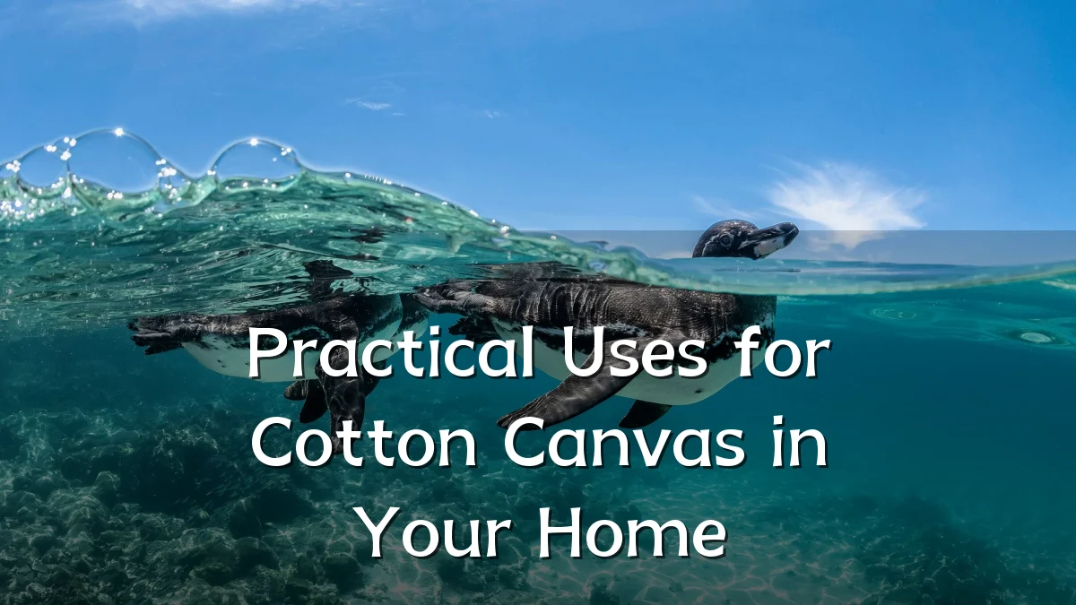 Practical Uses for Cotton Canvas in Your Home
