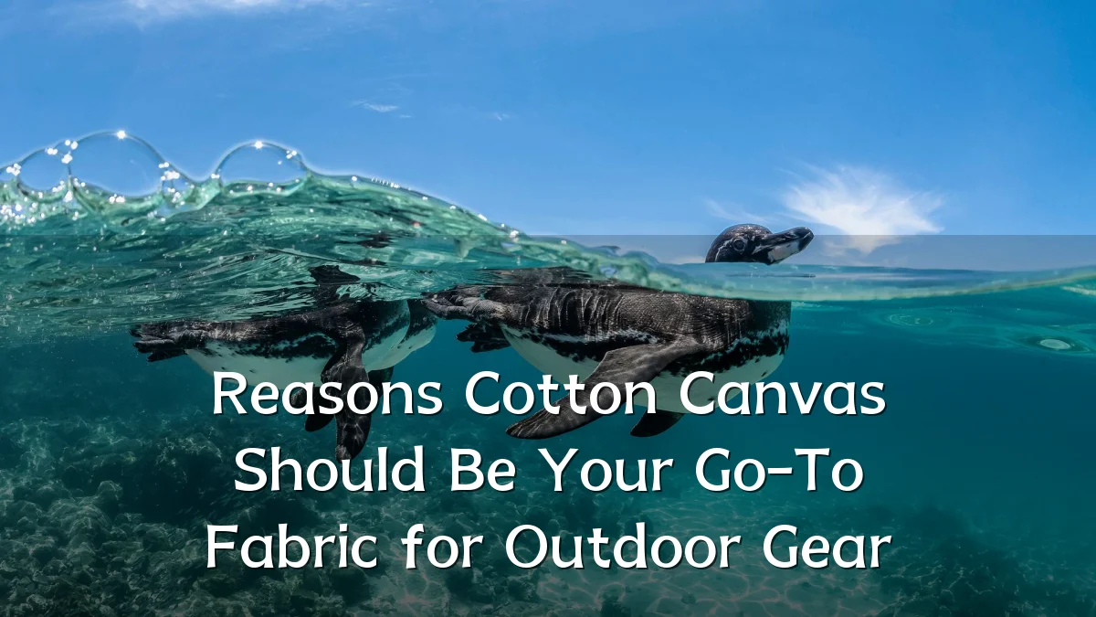 Reasons Cotton Canvas Should Be Your Go-To Fabric for Outdoor Gear