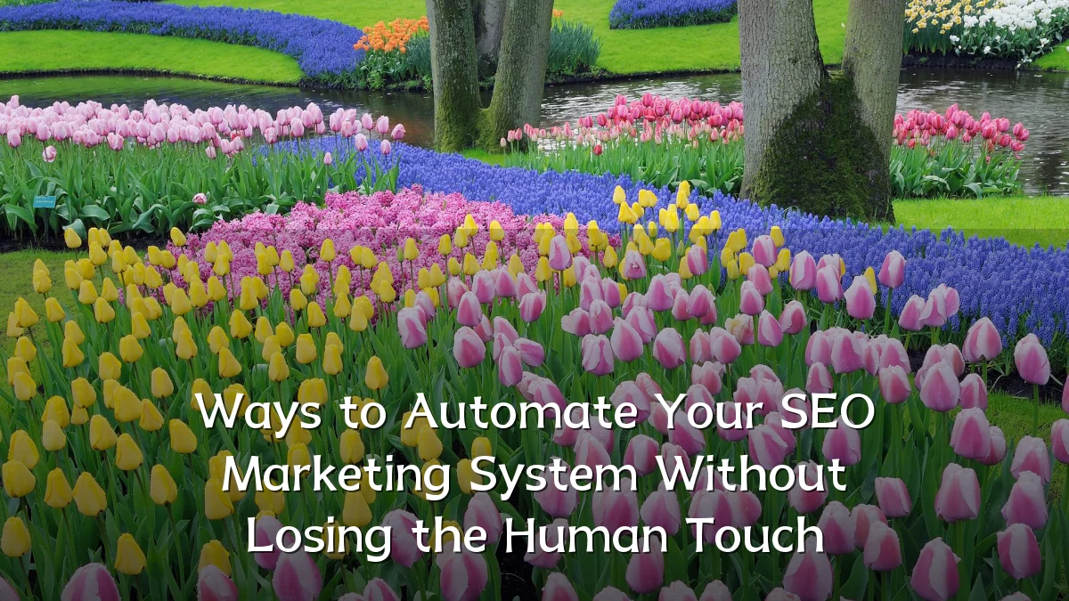 Ways to Automate Your SEO Marketing System Without Losing the Human Touch